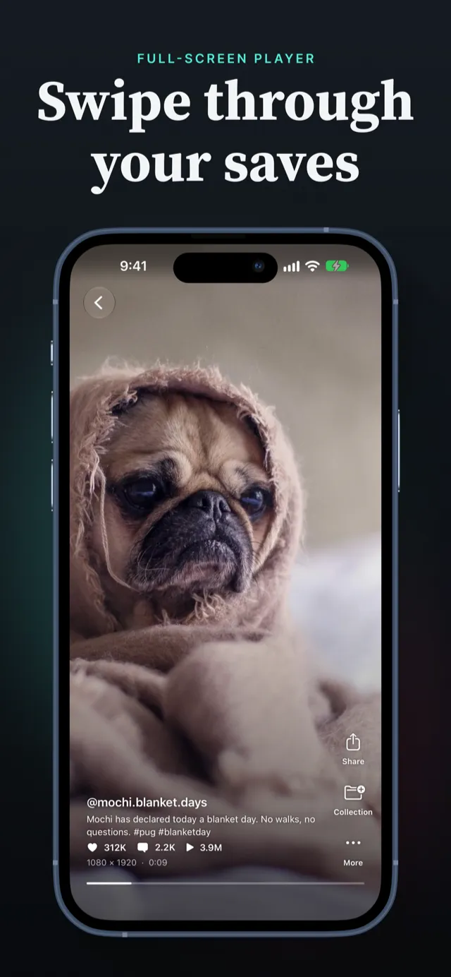 Full-screen player for saved videos